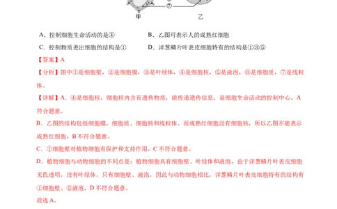 生物（海南卷）（全解全析）_初中全科电子版试卷练习试题_生物_2024中考模拟题生物(1)_一模_生物（海南卷）-2024年中考第一次模拟考试