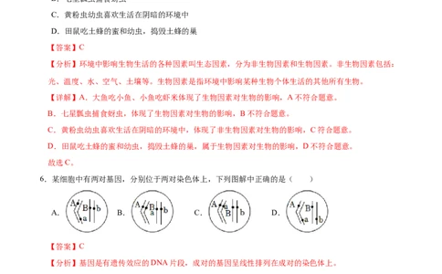 生物（海南卷）（全解全析）_初中全科电子版试卷练习试题_生物_2024中考模拟题生物(1)_一模_生物（海南卷）-2024年中考第一次模拟考试