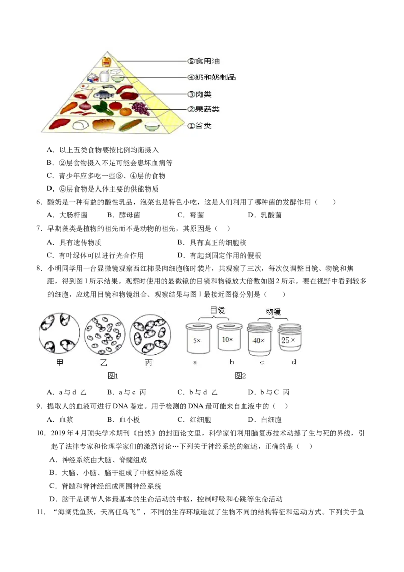 生物（广东省卷）（考试版A4）_初中全科电子版试卷练习试题_生物_2024中考模拟题生物(1)_二模_生物（广东省卷）-：2024年中考第二次模拟考试
