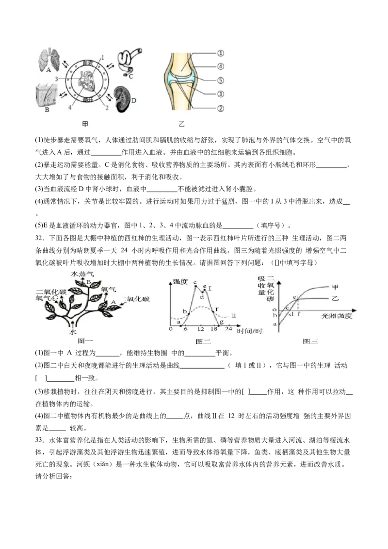 生物（广东省卷）（考试版A4）_初中全科电子版试卷练习试题_生物_2024中考模拟题生物(1)_二模_生物（广东省卷）-：2024年中考第二次模拟考试
