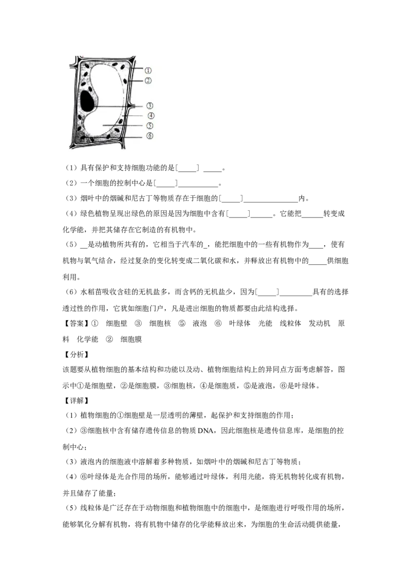 期末检测卷03-（人教版）（解析版）_初中全科电子版试卷练习试题_生物_生物人教版7上练习&mdash;24新版已更新_人教生物7年级上期末试卷11份