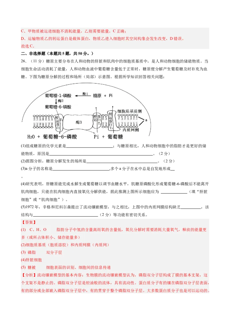 单元检测卷02细胞的结构、功能和物质运输（解析版）_2025年新高考资料_一轮复习_2025年高考生物一轮复习考点通关卷（新高考通用）