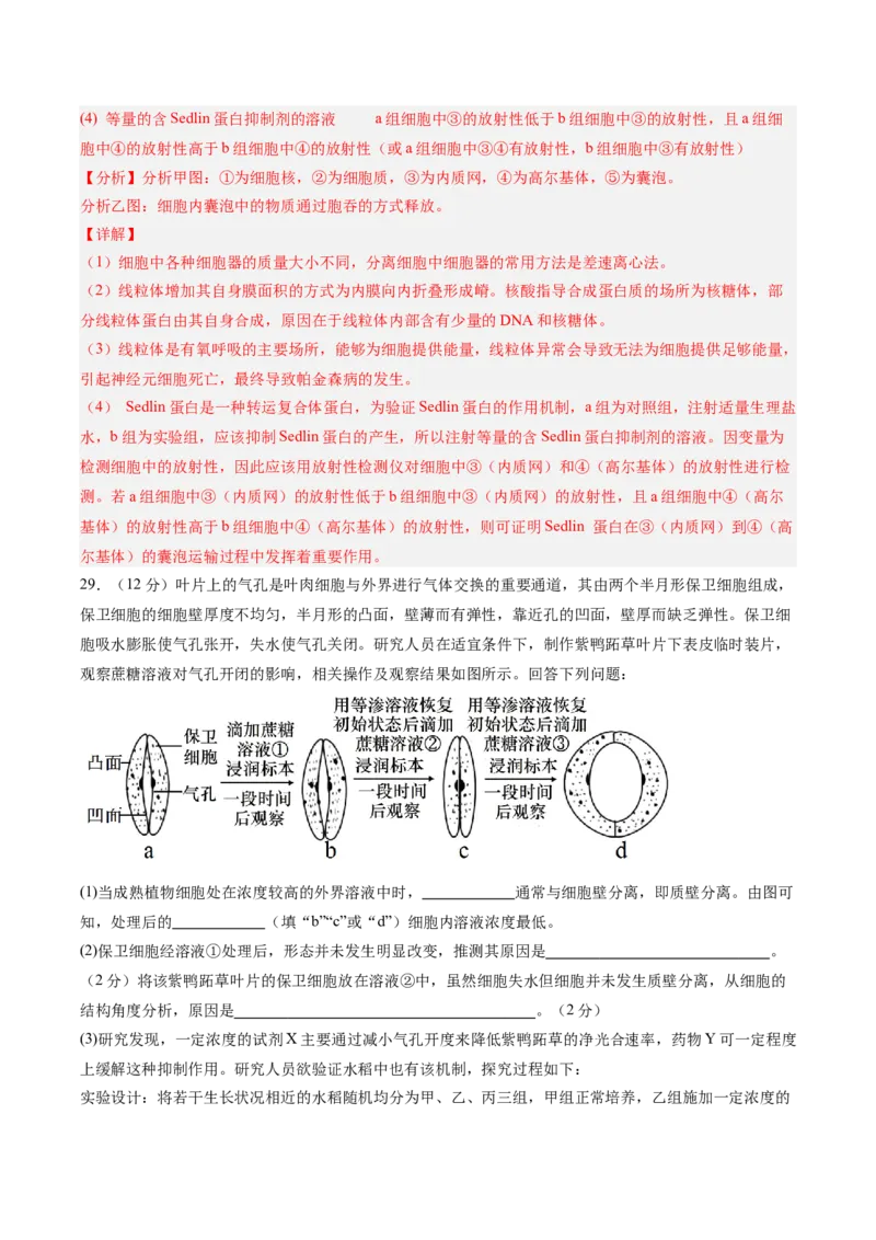 单元检测卷02细胞的结构、功能和物质运输（解析版）_2025年新高考资料_一轮复习_2025年高考生物一轮复习考点通关卷（新高考通用）