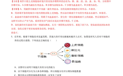 生物（苏州卷）（全解全析）_初中全科电子版试卷练习试题_生物_2024中考模拟题生物(1)_二模_生物（苏州卷）-：2024年中考第二次模拟考试