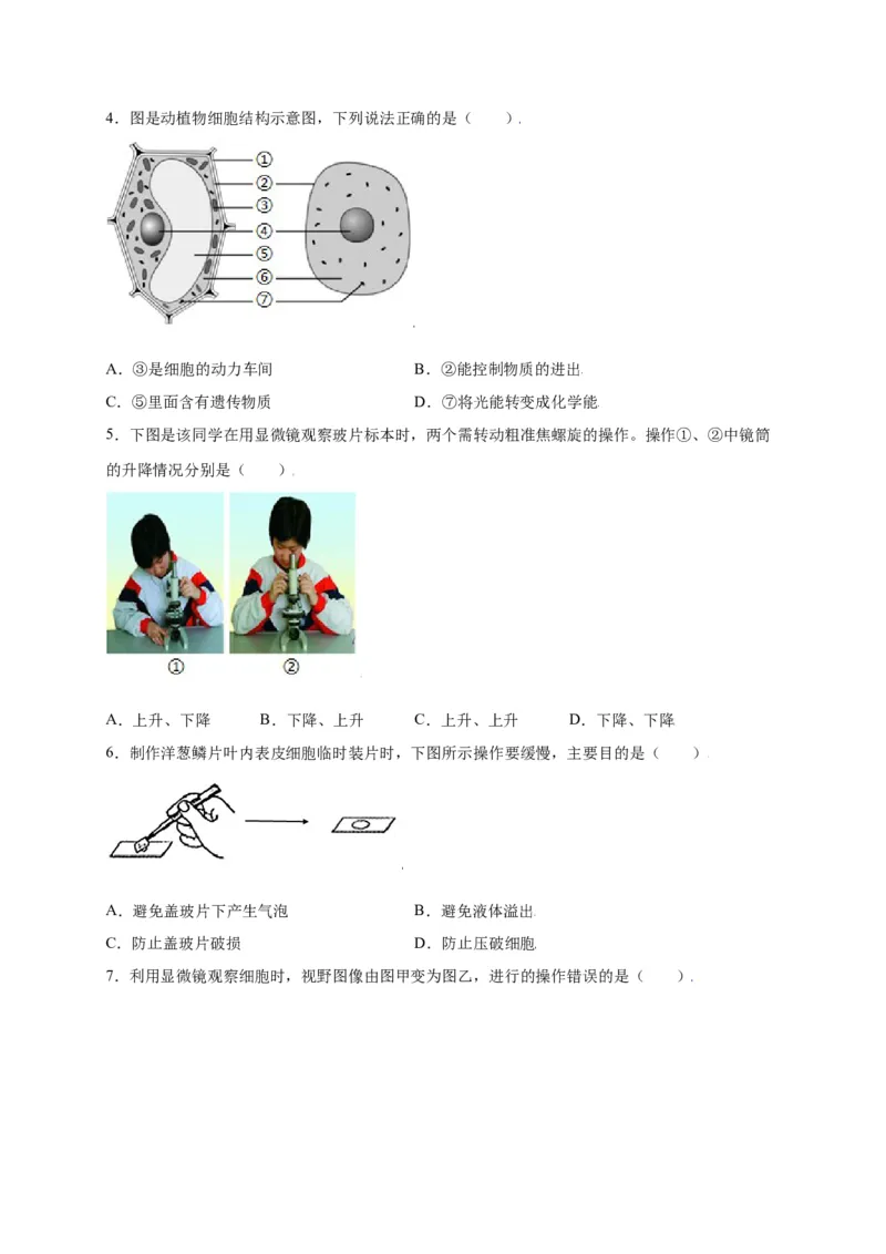 第2单元（第1章）细胞是生命活动的基本单位（选拔卷）（人教版）（原卷版）_初中全科电子版试卷练习试题_生物_生物人教版7上练习&mdash;24新版已更新
