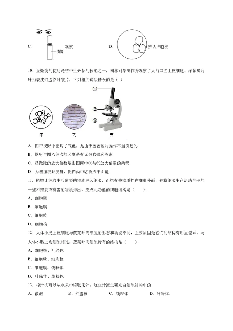 第2单元（第1章）细胞是生命活动的基本单位（选拔卷）（人教版）（原卷版）_初中全科电子版试卷练习试题_生物_生物人教版7上练习&mdash;24新版已更新
