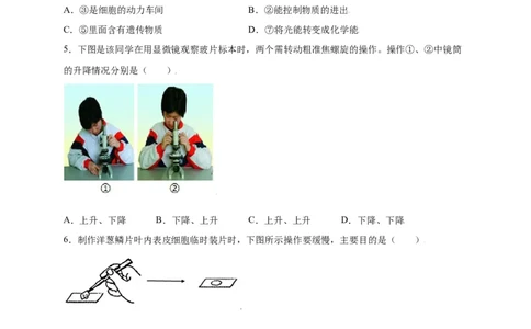 第2单元（第1章）细胞是生命活动的基本单位（选拔卷）（人教版）（原卷版）_初中全科电子版试卷练习试题_生物_生物人教版7上练习&mdash;24新版已更新