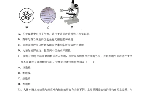 第2单元（第1章）细胞是生命活动的基本单位（选拔卷）（人教版）（原卷版）_初中全科电子版试卷练习试题_生物_生物人教版7上练习&mdash;24新版已更新