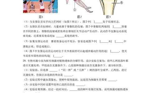八年级上学期期末生物试题（原卷版）_初中全科电子版试卷练习试题_生物_生物8上练习_人教生物8年级上期末试卷10份