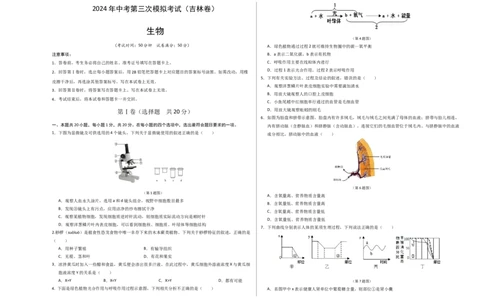 生物（吉林卷）（考试版A3）_初中全科电子版试卷练习试题_生物_2024中考模拟题生物(1)_三模（37套）_生物（吉林卷）