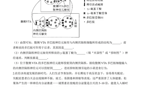 专题9人体生命活动的调节（非选择题）&mdash;&mdash;2025届高考生物学模块分练新高考版（含解析）_2025年新高考资料_二轮复习