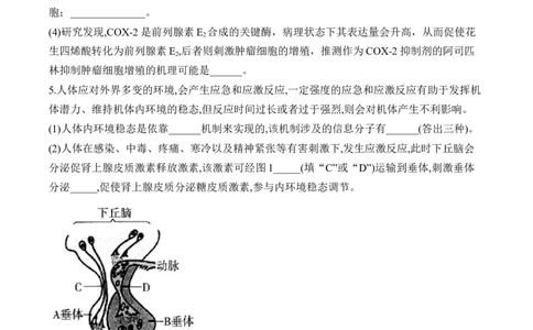 专题9人体生命活动的调节（非选择题）&mdash;&mdash;2025届高考生物学模块分练新高考版（含解析）_2025年新高考资料_二轮复习