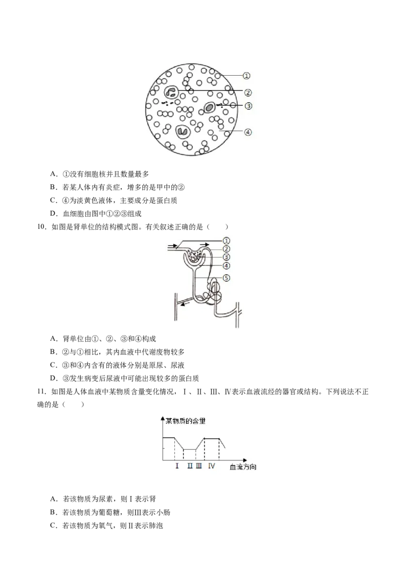 生物（盐城卷）（考试版A4）_初中全科电子版试卷练习试题_生物_2024中考模拟题生物(1)_三模（37套）_生物（盐城卷）