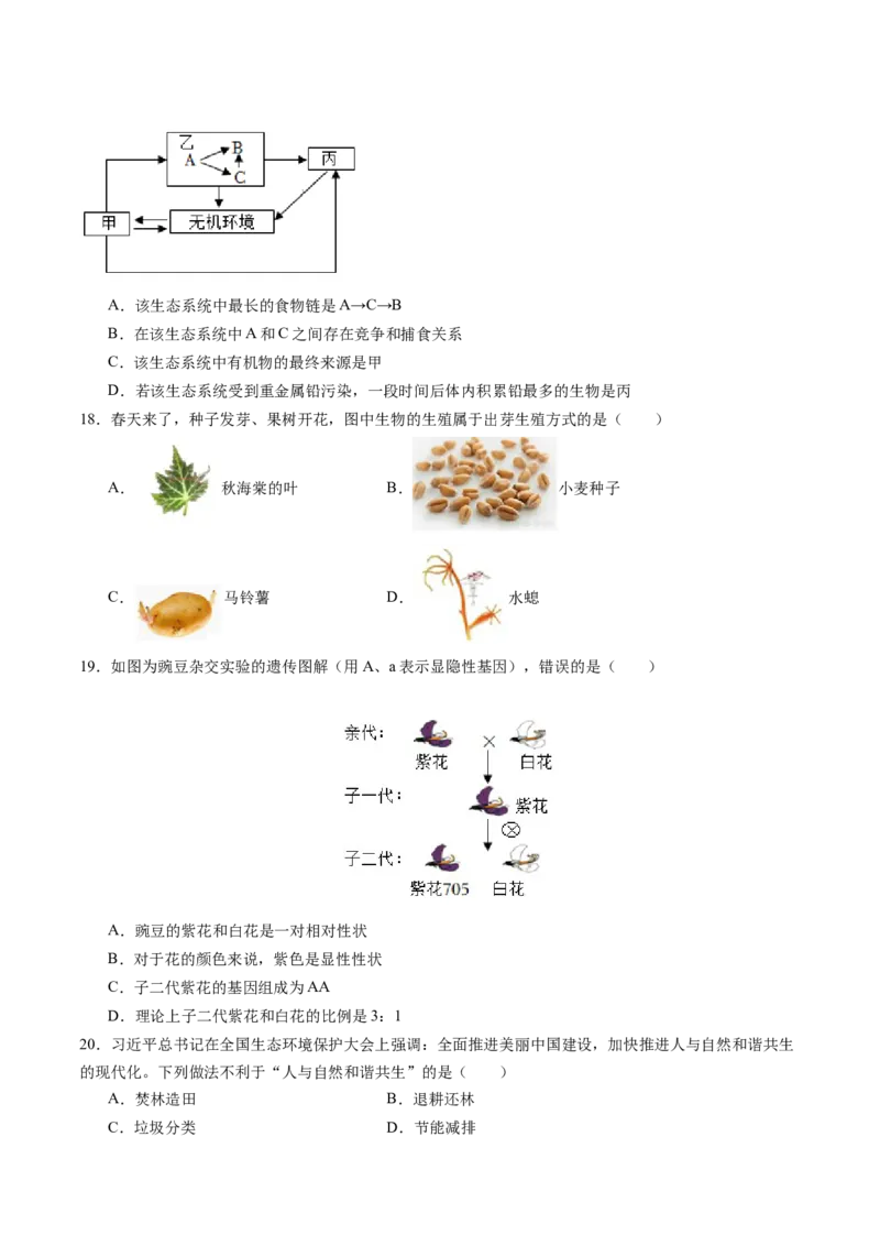 生物（盐城卷）（考试版A4）_初中全科电子版试卷练习试题_生物_2024中考模拟题生物(1)_三模（37套）_生物（盐城卷）