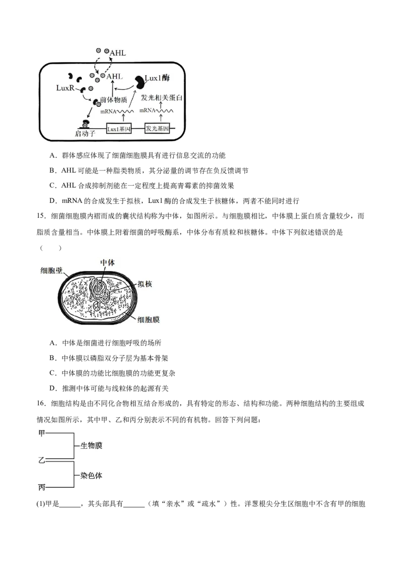 专题一细胞的分子组成、结构与功能（原卷版）_2025年新高考资料_二轮复习_举一反三2025年高考生物二轮重点专题讲义（新高考通用）3442769