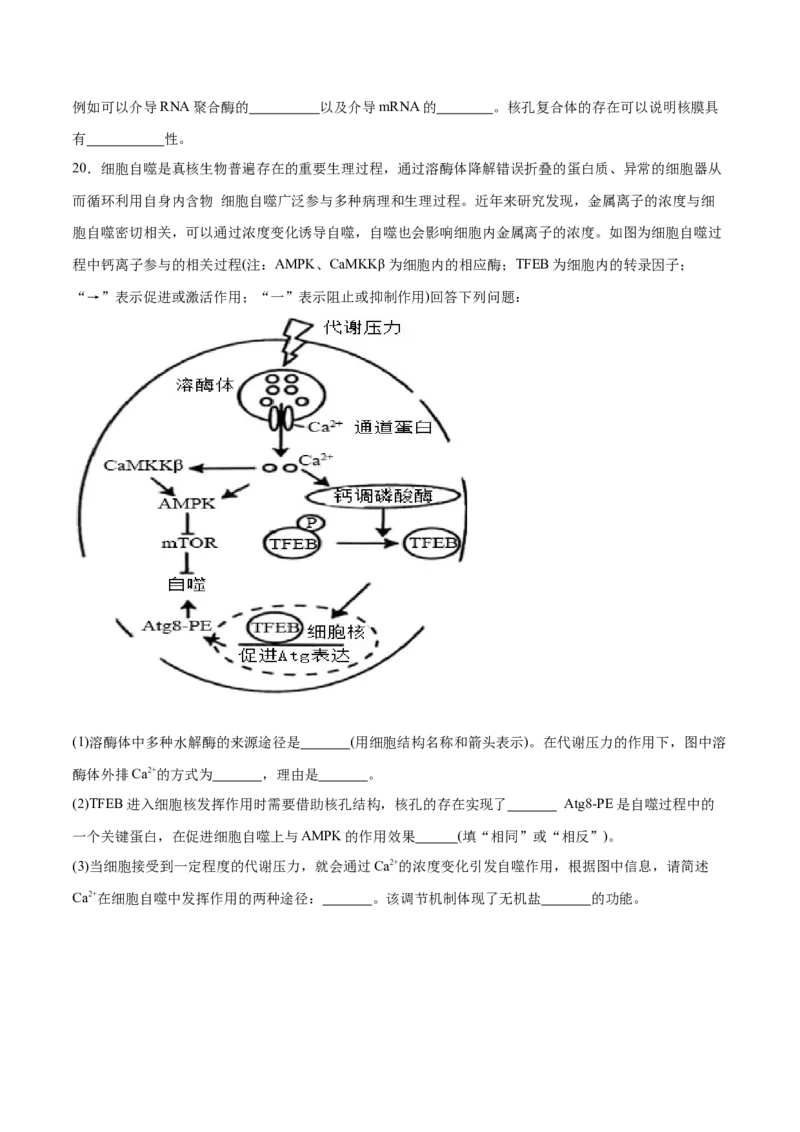 专题一细胞的分子组成、结构与功能（原卷版）_2025年新高考资料_二轮复习_举一反三2025年高考生物二轮重点专题讲义（新高考通用）3442769