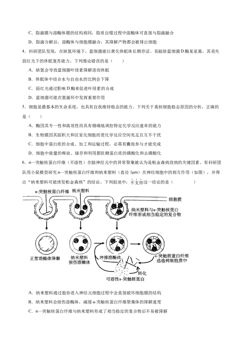 专题一细胞的分子组成、结构与功能（原卷版）_2025年新高考资料_二轮复习_举一反三2025年高考生物二轮重点专题讲义（新高考通用）3442769