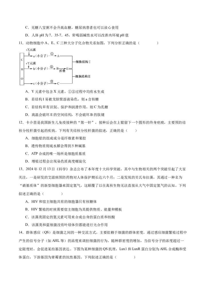 专题一细胞的分子组成、结构与功能（原卷版）_2025年新高考资料_二轮复习_举一反三2025年高考生物二轮重点专题讲义（新高考通用）3442769
