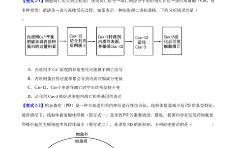 专题一细胞的分子组成、结构与功能（原卷版）_2025年新高考资料_二轮复习_举一反三2025年高考生物二轮重点专题讲义（新高考通用）3442769