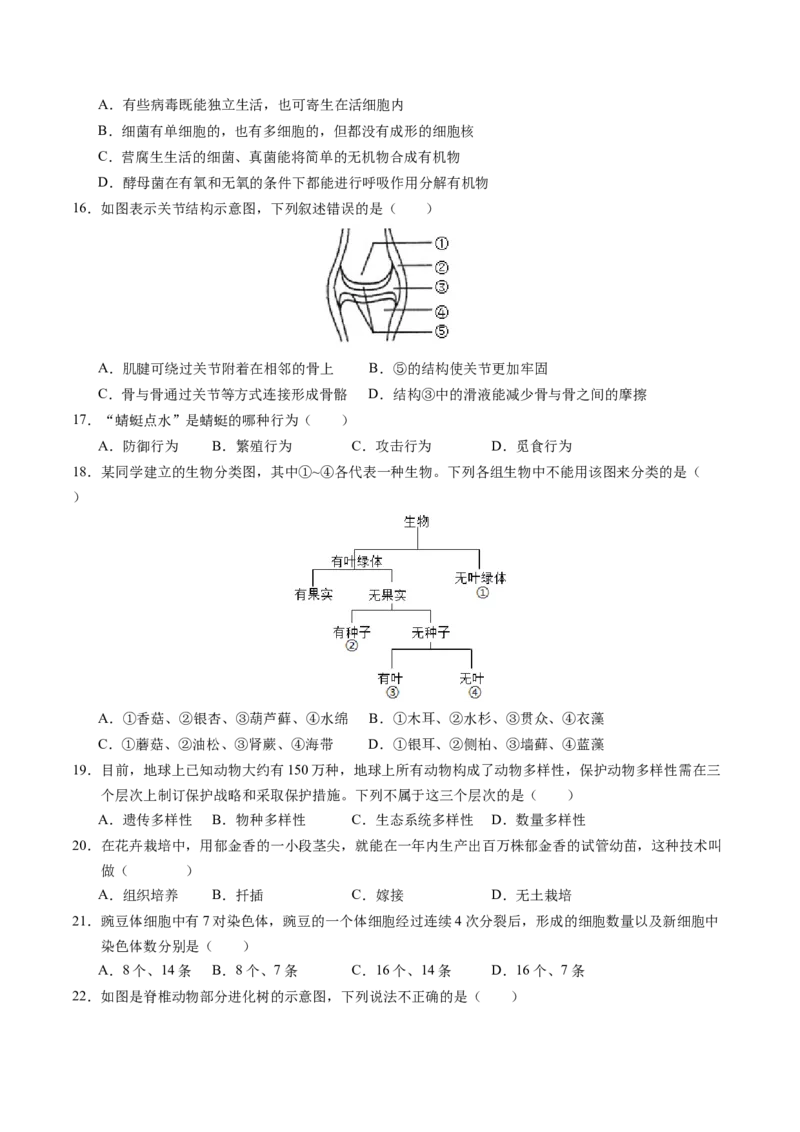 生物（泰州卷）（考试版A4）_初中全科电子版试卷练习试题_生物_2024中考模拟题生物(1)_一模_生物（泰州卷）-2024年中考第一次模拟考试
