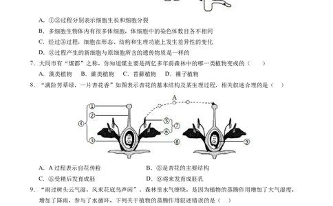 生物（泰州卷）（考试版A4）_初中全科电子版试卷练习试题_生物_2024中考模拟题生物(1)_一模_生物（泰州卷）-2024年中考第一次模拟考试