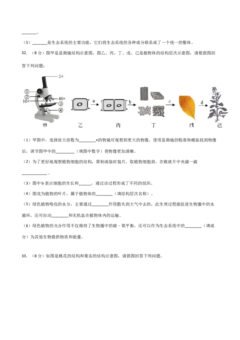 期末测试（A卷&middot;夯实基础）（原卷版）_初中全科电子版试卷练习试题_生物_生物人教版7上练习&mdash;24新版已更新_人教生物7年级上期末试卷11份