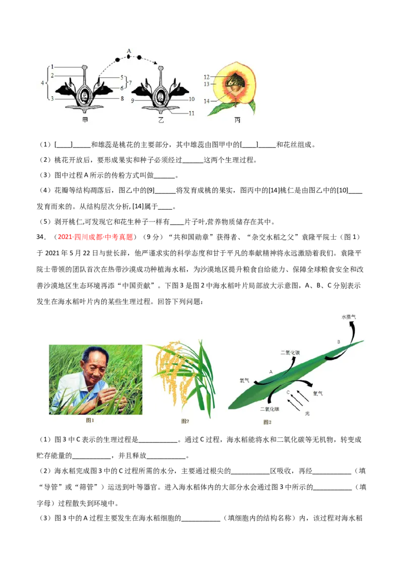期末测试（A卷&middot;夯实基础）（原卷版）_初中全科电子版试卷练习试题_生物_生物人教版7上练习&mdash;24新版已更新_人教生物7年级上期末试卷11份