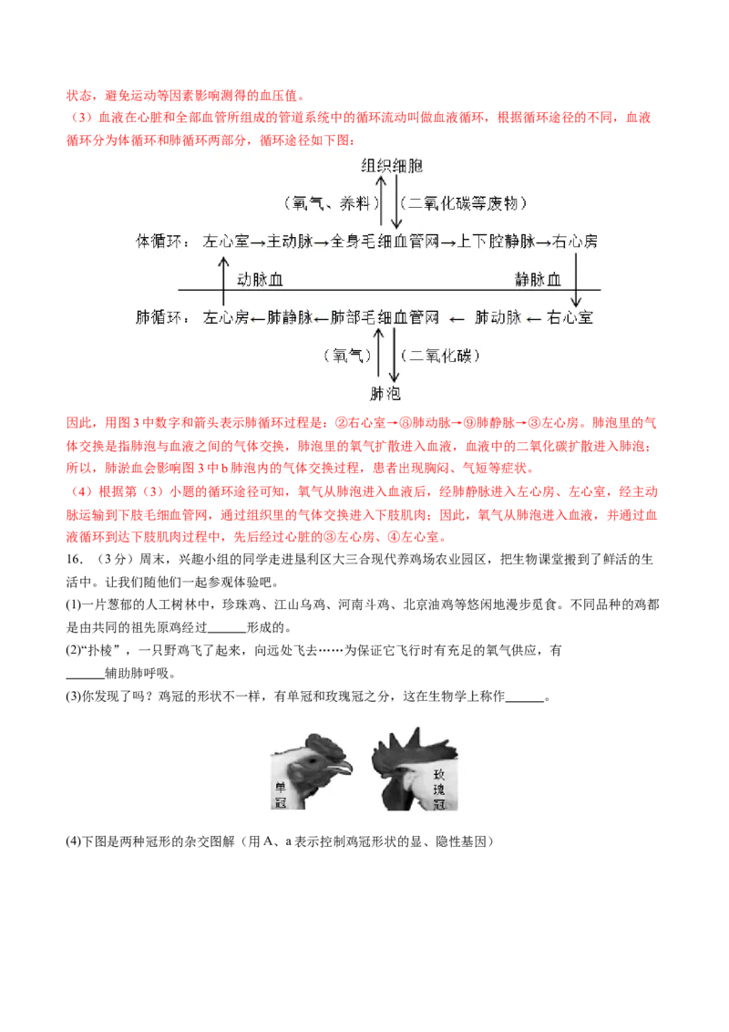 生物（辽宁卷）（全解全析）_初中全科电子版试卷练习试题_生物_2024中考模拟题生物(1)_二模_生物（辽宁卷）-：2024年中考第二次模拟考试
