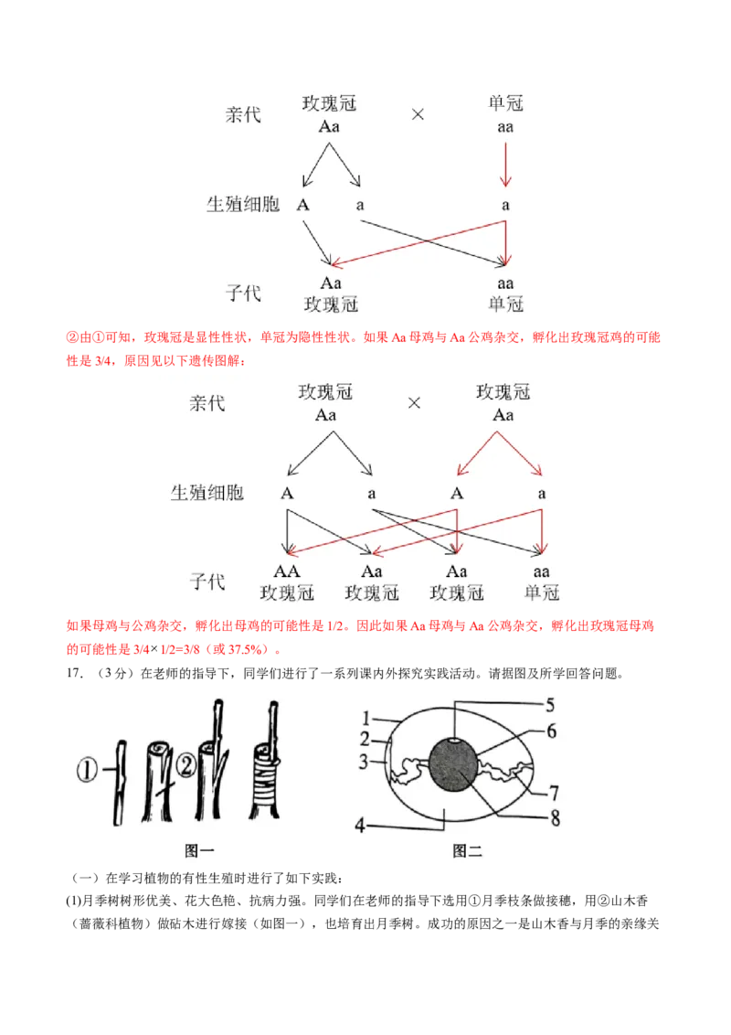 生物（辽宁卷）（全解全析）_初中全科电子版试卷练习试题_生物_2024中考模拟题生物(1)_二模_生物（辽宁卷）-：2024年中考第二次模拟考试