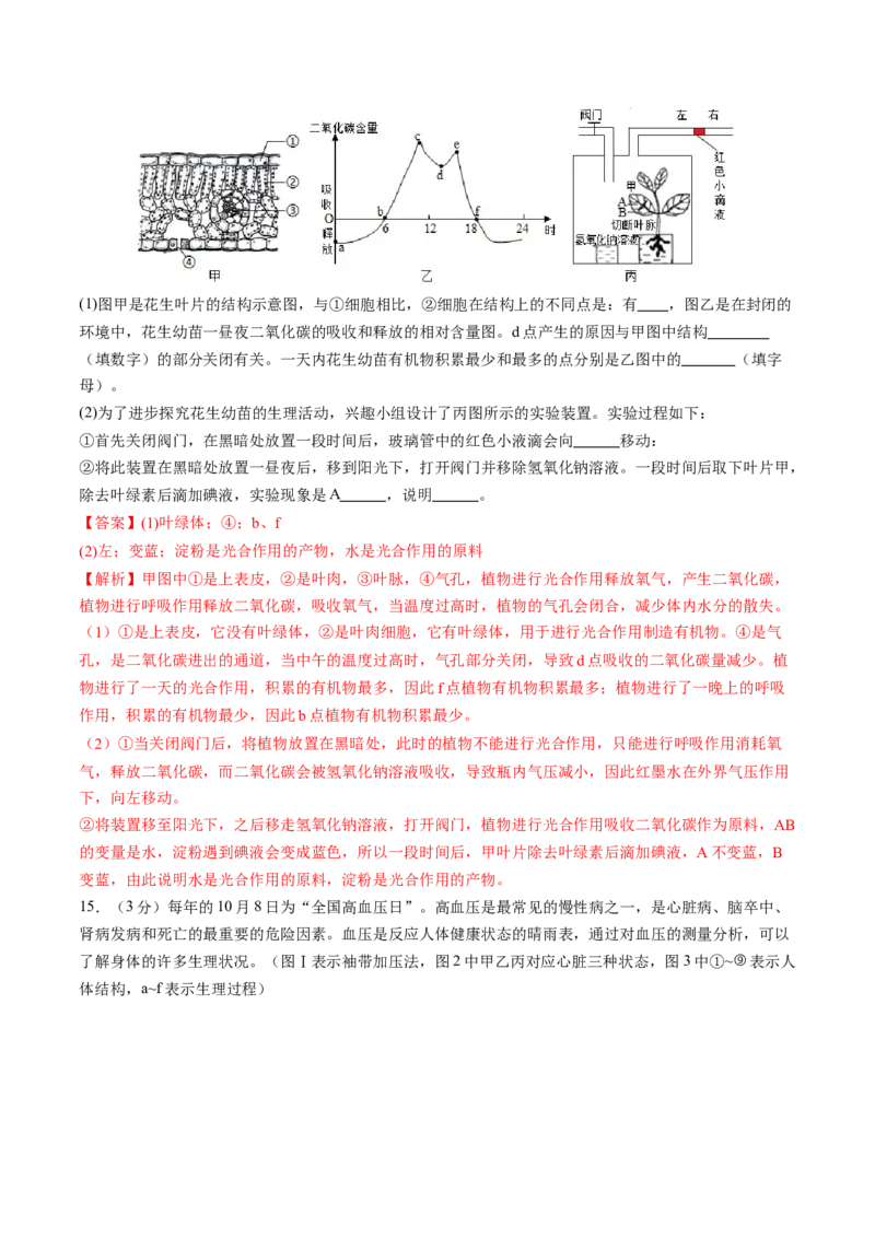 生物（辽宁卷）（全解全析）_初中全科电子版试卷练习试题_生物_2024中考模拟题生物(1)_二模_生物（辽宁卷）-：2024年中考第二次模拟考试