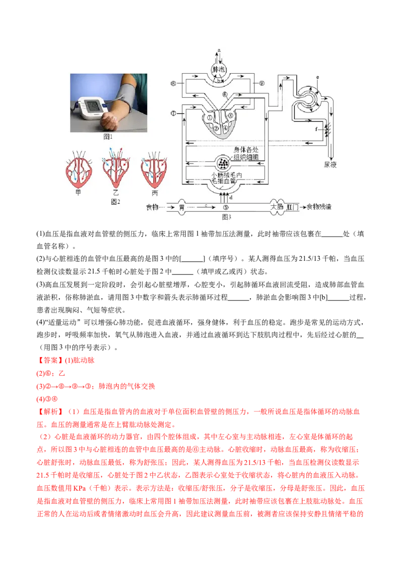 生物（辽宁卷）（全解全析）_初中全科电子版试卷练习试题_生物_2024中考模拟题生物(1)_二模_生物（辽宁卷）-：2024年中考第二次模拟考试