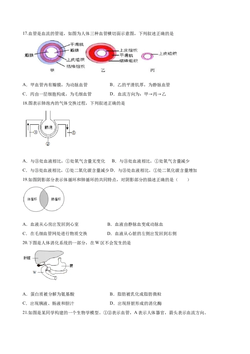 生物01卷（人教版七年级下册全部）-（考试版）A4（范围：七下全册）_new_初中全科电子版试卷练习试题_生物_生物人教版7下练习_人教生物7年级下期末试卷11份