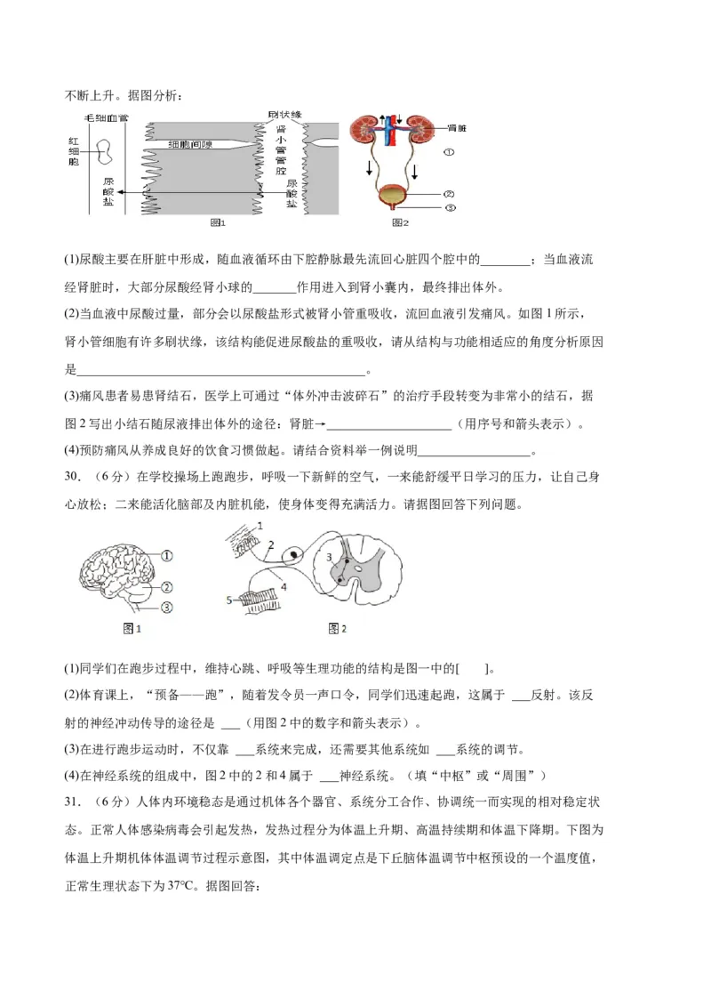 生物01卷（人教版七年级下册全部）-（考试版）A4（范围：七下全册）_new_初中全科电子版试卷练习试题_生物_生物人教版7下练习_人教生物7年级下期末试卷11份
