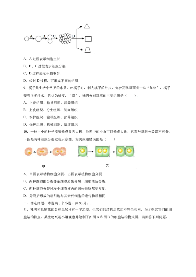 第2单元（第2章）细胞怎样构成生物体（提分小卷）（人教版）（原卷版）_初中全科电子版试卷练习试题_生物_生物人教版7上练习&mdash;24新版已更新_人教生物7年级上单元试卷36份