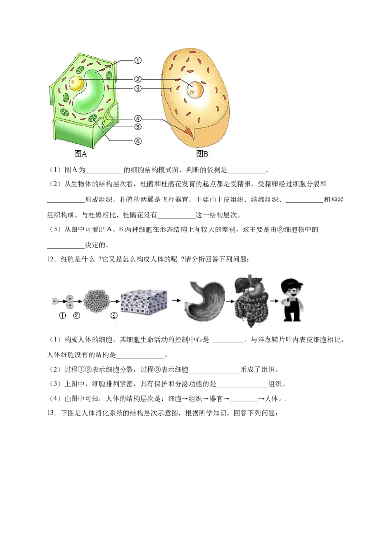 第2单元（第2章）细胞怎样构成生物体（提分小卷）（人教版）（原卷版）_初中全科电子版试卷练习试题_生物_生物人教版7上练习&mdash;24新版已更新_人教生物7年级上单元试卷36份