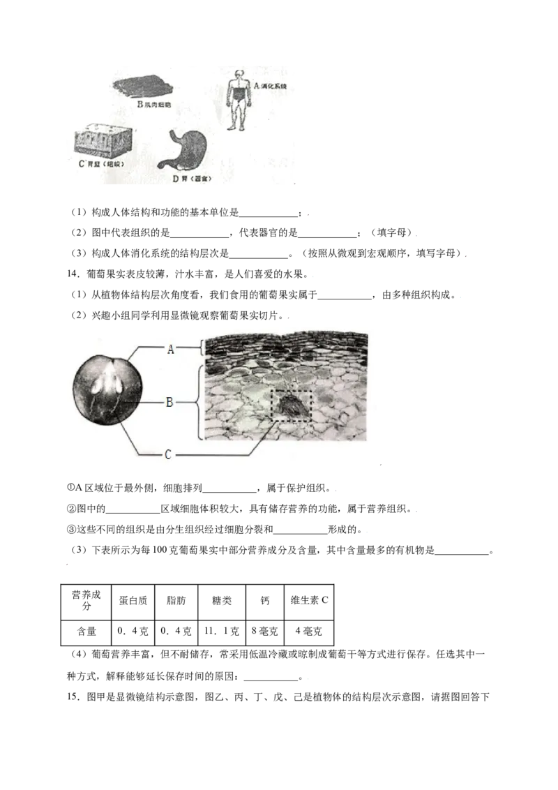第2单元（第2章）细胞怎样构成生物体（提分小卷）（人教版）（原卷版）_初中全科电子版试卷练习试题_生物_生物人教版7上练习&mdash;24新版已更新_人教生物7年级上单元试卷36份