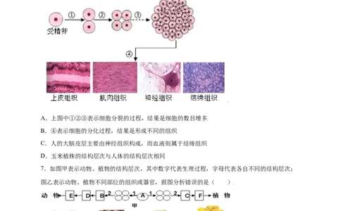 第2单元（第2章）细胞怎样构成生物体（提分小卷）（人教版）（原卷版）_初中全科电子版试卷练习试题_生物_生物人教版7上练习&mdash;24新版已更新_人教生物7年级上单元试卷36份
