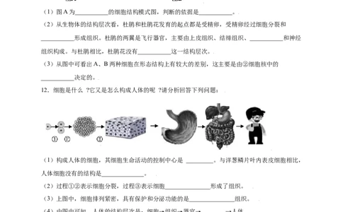 第2单元（第2章）细胞怎样构成生物体（提分小卷）（人教版）（原卷版）_初中全科电子版试卷练习试题_生物_生物人教版7上练习&mdash;24新版已更新_人教生物7年级上单元试卷36份