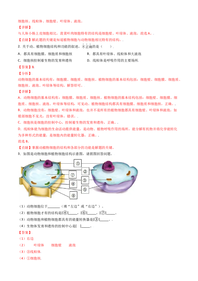 必考点08动物细胞-（人教版）（解析版）_初中全科电子版试卷练习试题_生物_生物人教版7上练习&mdash;24新版已更新_人教生物7年级上专项练习28份