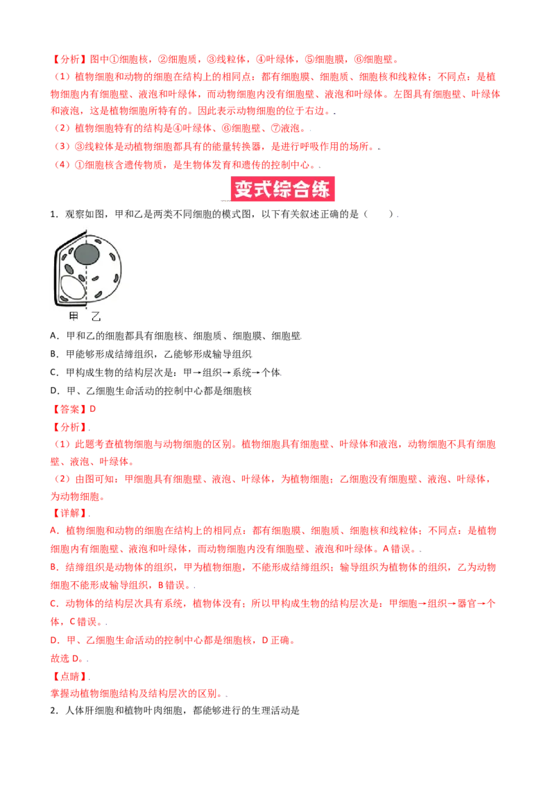 必考点08动物细胞-（人教版）（解析版）_初中全科电子版试卷练习试题_生物_生物人教版7上练习&mdash;24新版已更新_人教生物7年级上专项练习28份