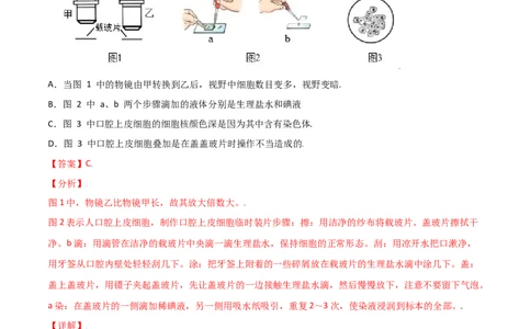 必考点08动物细胞-（人教版）（解析版）_初中全科电子版试卷练习试题_生物_生物人教版7上练习&mdash;24新版已更新_人教生物7年级上专项练习28份