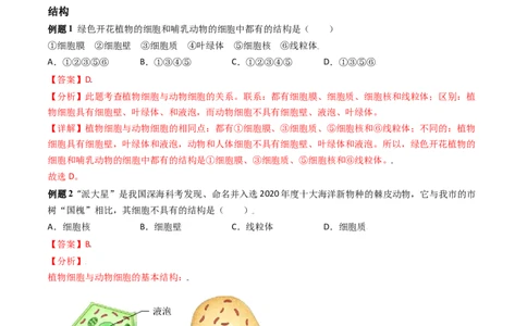 必考点08动物细胞-（人教版）（解析版）_初中全科电子版试卷练习试题_生物_生物人教版7上练习&mdash;24新版已更新_人教生物7年级上专项练习28份