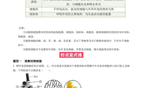 必考点08动物细胞-（人教版）（解析版）_初中全科电子版试卷练习试题_生物_生物人教版7上练习&mdash;24新版已更新_人教生物7年级上专项练习28份