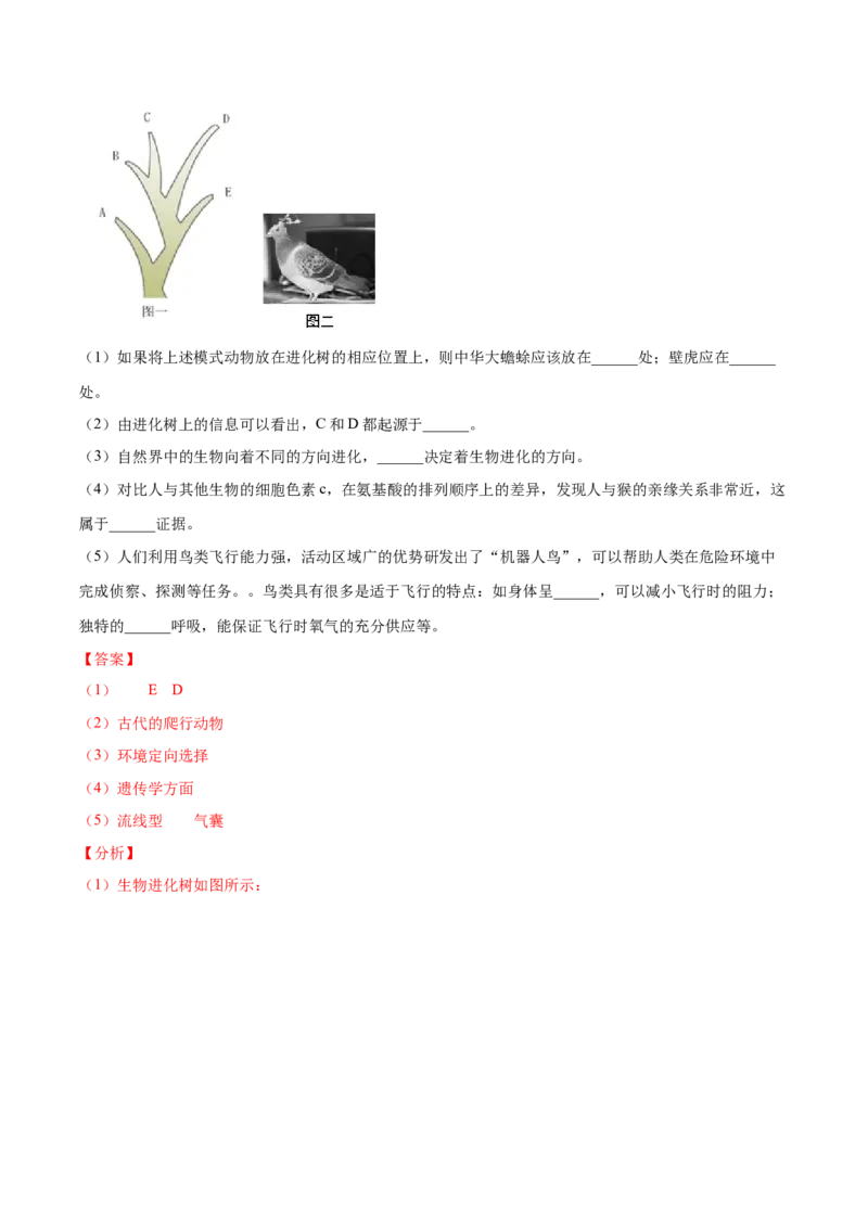第07单元第03章生命起源和生物进化单元测试（A卷&middot;夯实基础）（解析版）_初中全科电子版试卷练习试题_生物_生物8下练习_人教生物8年级下单元试卷38份