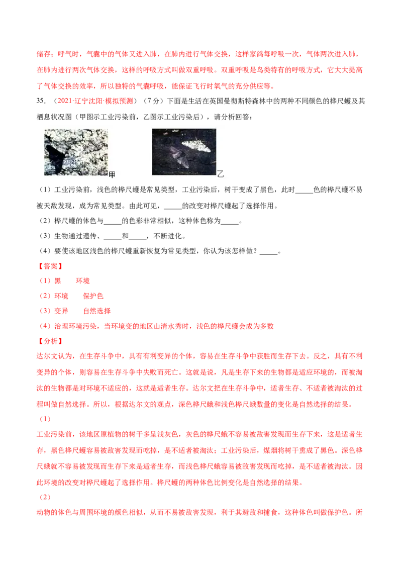 第07单元第03章生命起源和生物进化单元测试（A卷&middot;夯实基础）（解析版）_初中全科电子版试卷练习试题_生物_生物8下练习_人教生物8年级下单元试卷38份
