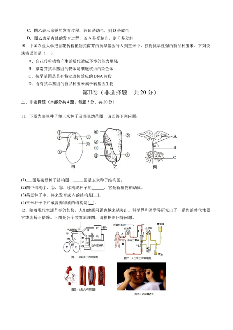 生物（徐州卷）（考试版A4）_初中全科电子版试卷练习试题_生物_2024中考模拟题生物(1)_一模_生物（徐州卷）-2024年中考第一次模拟考试