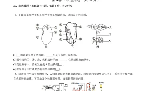 生物（徐州卷）（考试版A4）_初中全科电子版试卷练习试题_生物_2024中考模拟题生物(1)_一模_生物（徐州卷）-2024年中考第一次模拟考试