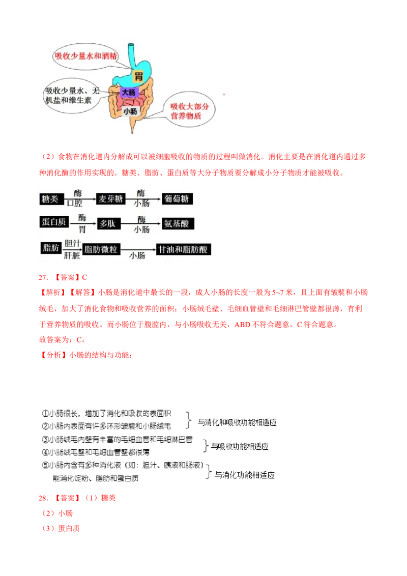 第2章人体的营养（人教版）（解析版）_初中全科电子版试卷练习试题_生物_生物人教版7下练习_人教生物7年级下单元试卷33份_第2套七年级生物下册单元试卷（人教版）07份