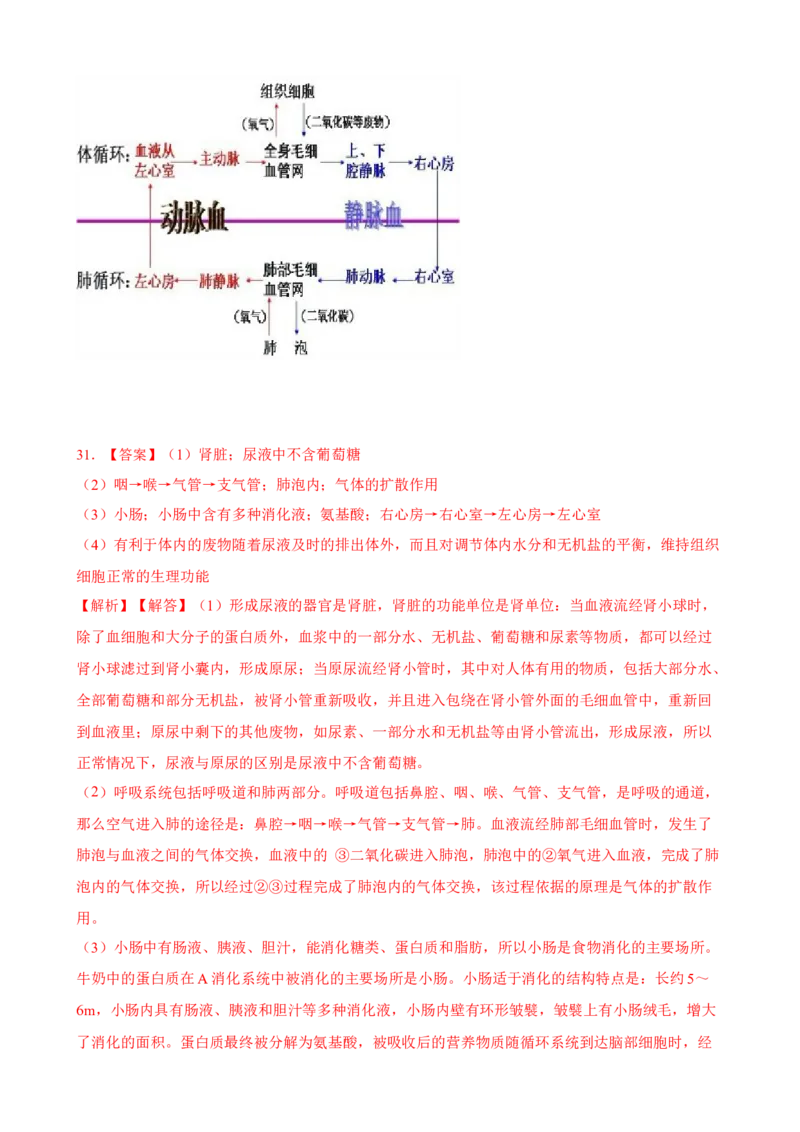第2章人体的营养（人教版）（解析版）_初中全科电子版试卷练习试题_生物_生物人教版7下练习_人教生物7年级下单元试卷33份_第2套七年级生物下册单元试卷（人教版）07份