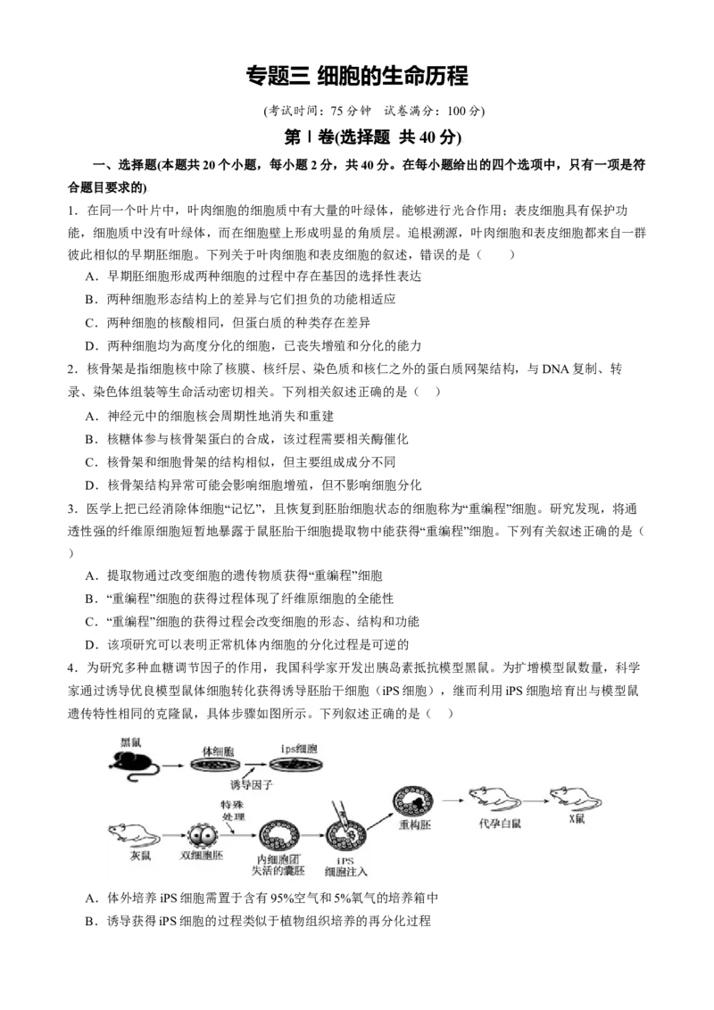 专题三细胞的生命历程（原卷版）_2025年新高考资料_二轮复习_01高考语文等多个文件_上好课2025年高考生物二轮复习讲练测（新高考通用）